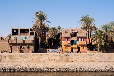 Houses and date palms on the banks of the Nile, Egypt