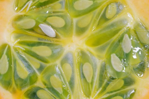 Horned cucumber, kiwano or horned melon (Cucumis metuliferus), sliced fruit, native to Africa
