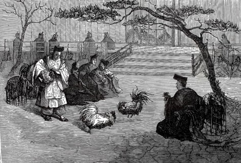 Cockfight in Japan, authentic, digitally restored reproduction from a 19th century model, exact