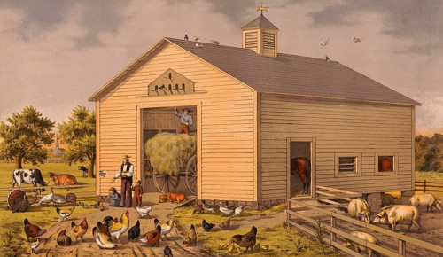 Farm, barn, many farm animals such as chickens, geese, cows, horses, around 1920, illustration,