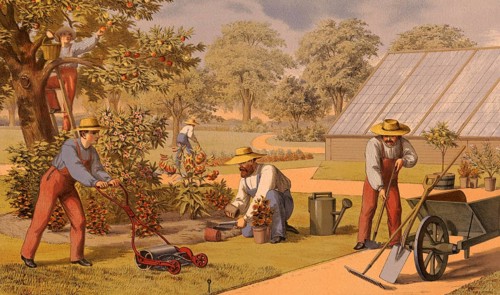 Traditional crafts, gardener at work, horticulture, around 1920, illustration, reproduction from a