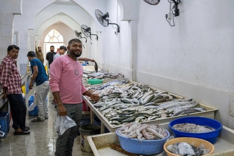 Fish market, Salalah, Oman