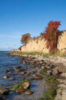 Cliffs on the shores of the Baltic Sea, autumn colors, Klein Zicker, Mönchgut, Rügen island, Baltic