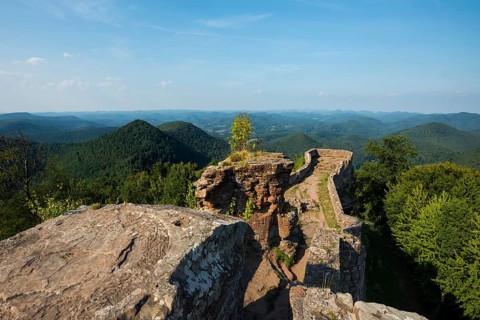 Wegelnburg ruins, near Nothweiler, Palatinate Forest, Rhineland-Palatinate, Germany