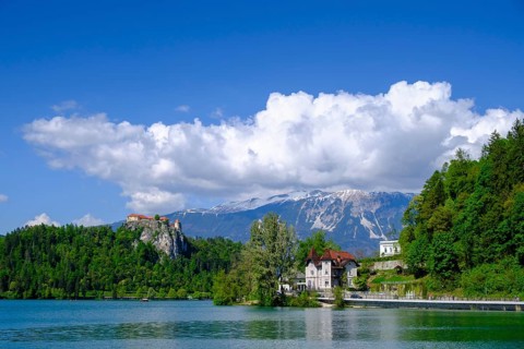 Bled Castle, above Bled, Lake Bled, Slovenia