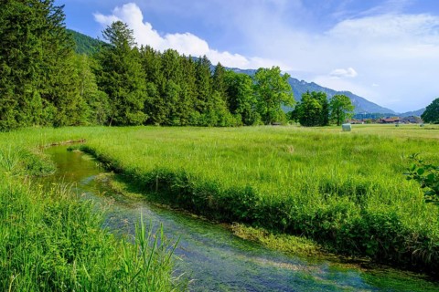 Am Naturerlebnispfad, Aschau, Chiemgau, Upper Bavaria, Bavaria, Germany