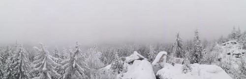 Snowy firs and rocks in a foggy winter landscape, Fichtelgebirge, Germany