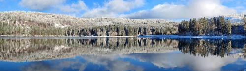 A calm lake with snow-covered trees and a clear reflection of the sky in winter, Scheibe-Alsbach