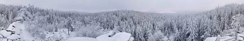Snowy forest landscape showing thick trees and wide views, Fichtelgebirge, Upper Franconia, Germany
