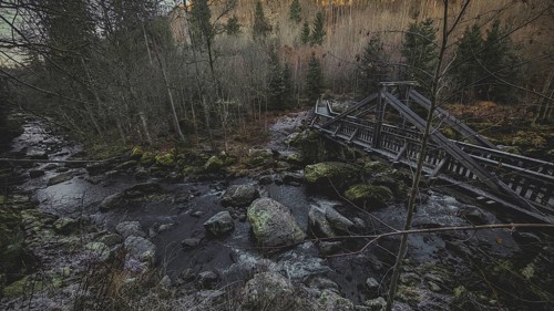 An old wooden bridge crosses a river in a dense, autumnal forest with a gloomy atmosphere,