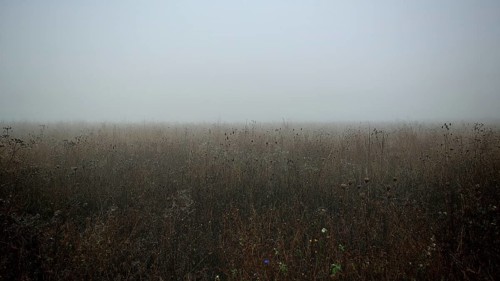 Cloudy meadow conveys a gloomy and melancholy atmosphere, Frankenwald nature park Park, Germany