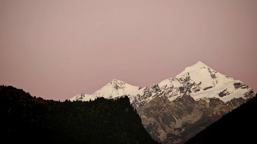 Snowy mountain peaks at dusk against a pink sky over a dark forest, Mestia, Georgia