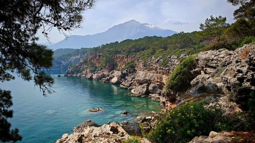 A rocky coast with clear blue water and green vegetation, with a snow-capped mountain rising in the