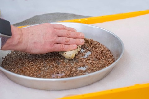 Hands press dough into a round dish with seeds for baking, bake rolls, Haselstaller Hof, Gechingen,