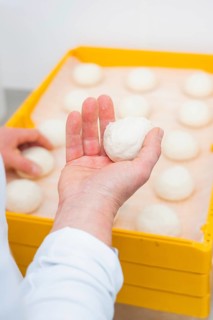 A baker holds a dough ball over several other dough balls in a yellow box, bake rolls, Haselstaller