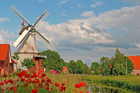 Poppy meadow, East Frisian windmill, historic mill, gallery Dutch, Hauptwieke, Warsingsfehn,