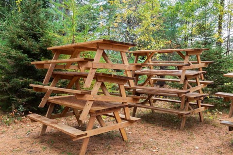 Stacked natural cedar wood picnic tables stored in forest with ground covered with shedded Pinus -