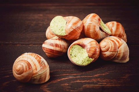 Grape snails, stuffed in burgundy, french cuisine