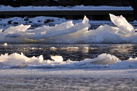 Elbe with ice floes, winter, Dresden, Saxony, Germany