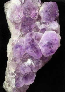 Amethyst, purple variety of the mineral quartz, Germany