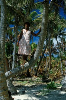 Girl looking at a coconut tree, Tavewa Island, Yasawa archipelago, Fiji