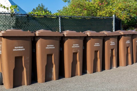 Row of brown plastic heavy duty portable composting bins for depositing organic materials and
