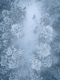 Bird's eye view of snow-covered trees and trails in winter forest, Himmelsglück observation tower