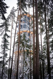 A treetop trail surrounded by snow-covered trees in the winter forest, Himmelsglück observation