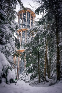 A snow-covered treetop trail rises between snow-covered trees, Himmelsglück observation tower with