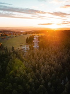 Panorama with observation tower in the middle of a forest at sunset, observation tower Himmelsglück