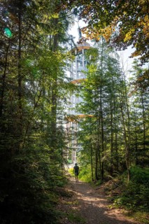 A tall tower surrounded by thick forest along a shady hiking trail, Himmelsglück observation tower