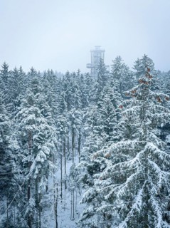 An observation tower juts out of a snow-covered forest, Himmelsglück observation tower with Flying