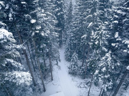 Snowy forest with a secluded path in deep winter, Himmelsglück observation tower with Flying Fox,
