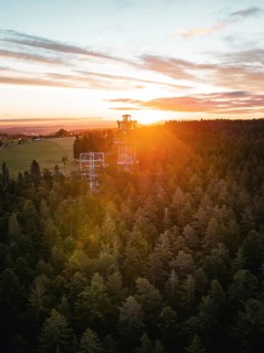 The observation tower rises out of the dense forest at setting sun, Himmelsglück observation tower