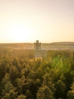 Wooded landscape with a panoramic tower in the distance at sunset, Himmelsglück observation tower