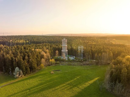 A tower stands in the middle of a forest next to a meadow, illuminated by warm sunlight,