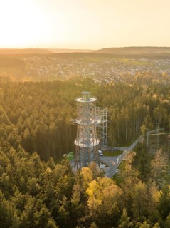 An observation tower towers over the treetops of a forest, with a city in the background and