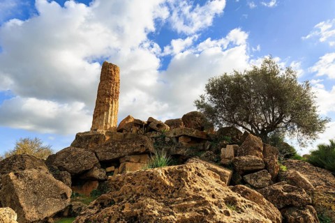 Single column, boulders, olive tree, Temple of Heracles, ruin in the Valley of the Temples,