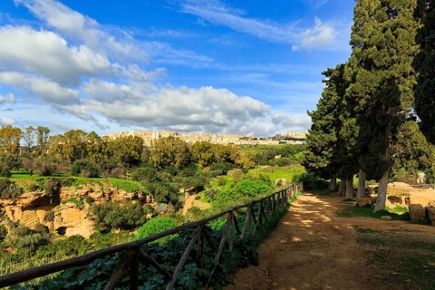 Hiking trail with cypresses, modern city of Agrigento on the horizon, Cumulus, Valley of the