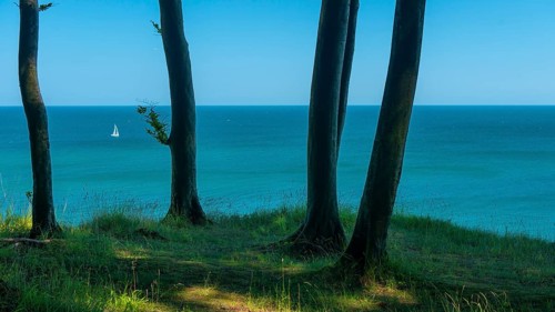View of the Baltic Sea from the chalk cliffs in Jasmund National Park on Rügen with a sailboat,