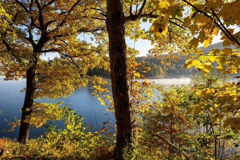 Autumn forest at Innerstestausee in the Harz Mountains, Innerstestausee, Goslar, Lower Saxony,