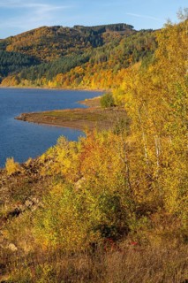 Autumn forest at Innerstestausee in the Harz Mountains, Innerstestausee, Goslar, Lower Saxony,
