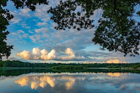 Ahlhorn fishing pond in late summer, Ahlhorn, Lower Saxony, Germany
