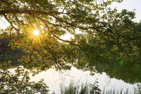 Sunrise at the Ahlhorn fishing pond in late summer, Ahlhorn, Lower Saxony, Germany