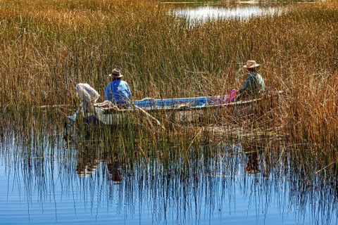Two fishermen in a boat surrounded by reeds on a calm body of water in a natural setting, The