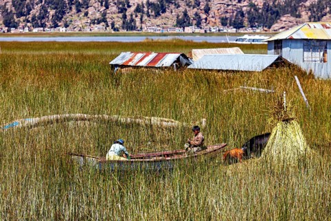 Children in a boat on a vast sea of reeds surrounded by huts in a rural setting, The floating reed