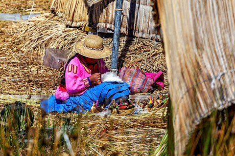 A woman in traditional traditional costume works in a reed area, The floating reed islands of the