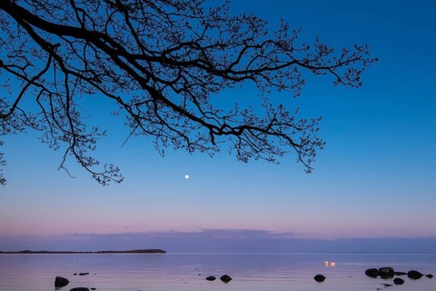 Moonrise on the lagoon on Rügen, Rügen, Glowitz, Mecklenburg-Western Pomerania, Germany