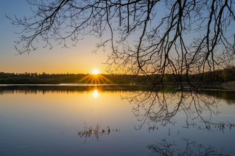 Sunrise at Ahlhorn fish ponds, Ahlhorn, Lower Saxony, Germany