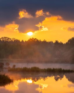 Sunset at Ahlhorn fish ponds, Ahlhorn, Lower Saxony, Germany